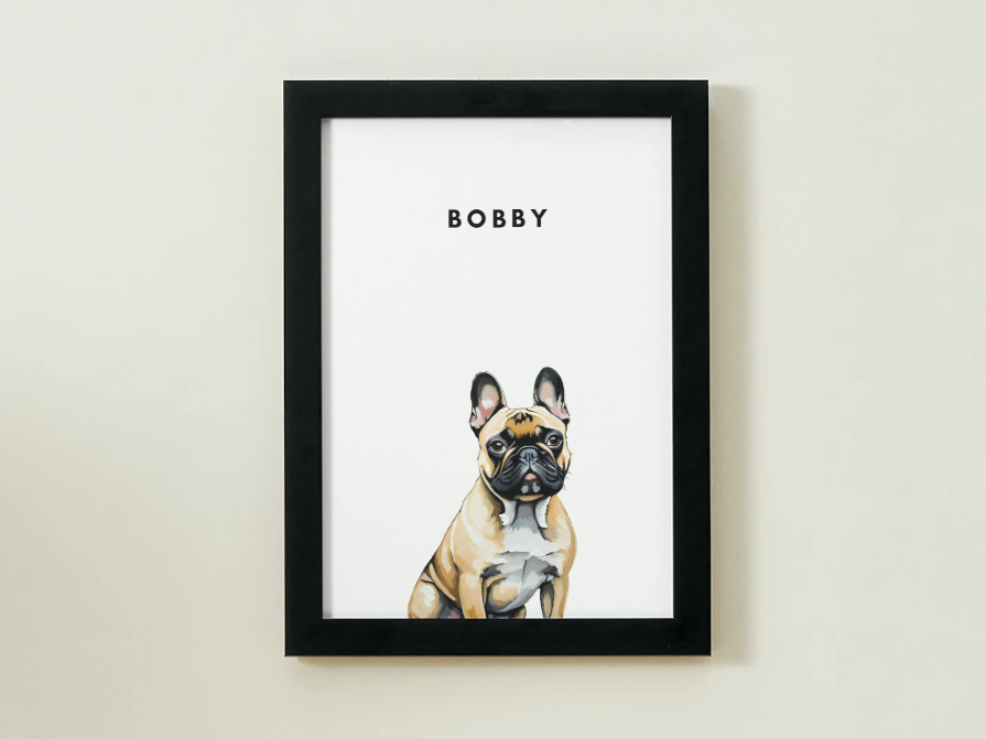 Modern Pet Portrait