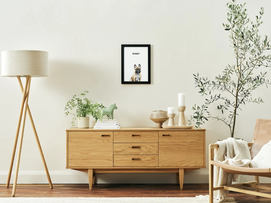 Modern Pet Portrait