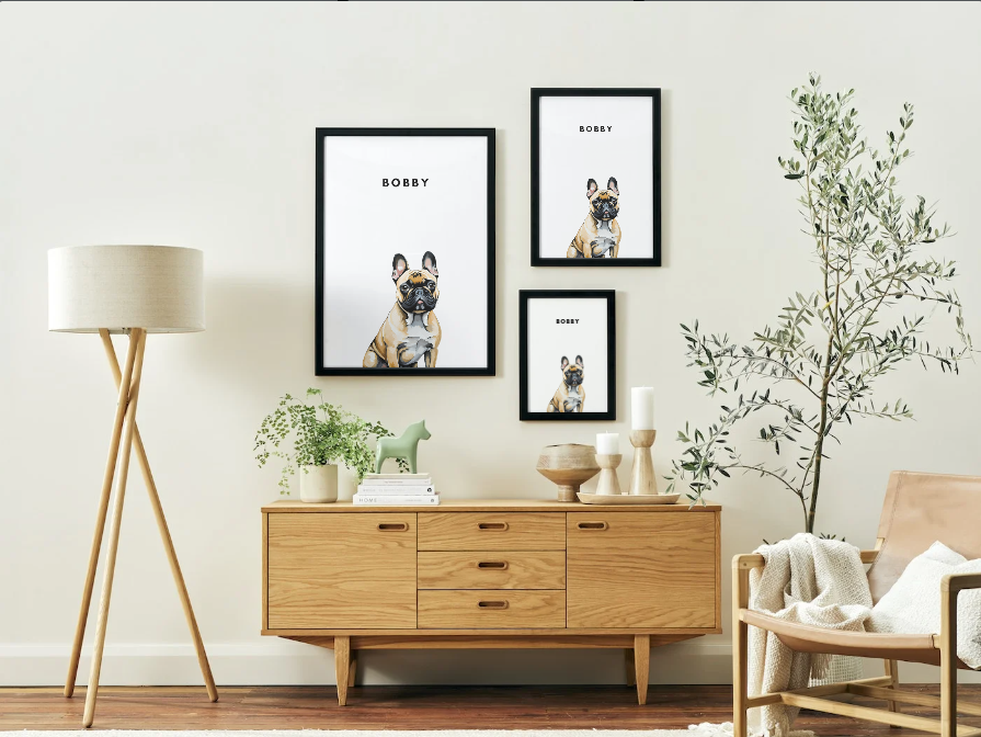 Modern Pet Portrait