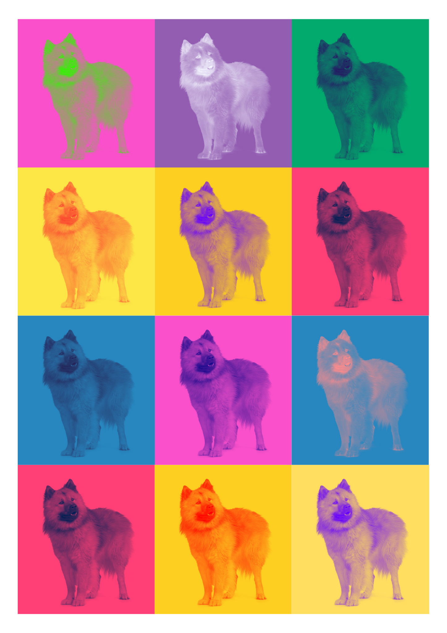 Modern Color Pet Portrait