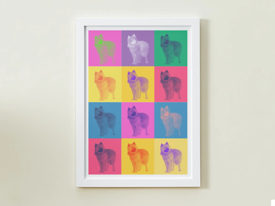 Modern Color Pet Portrait
