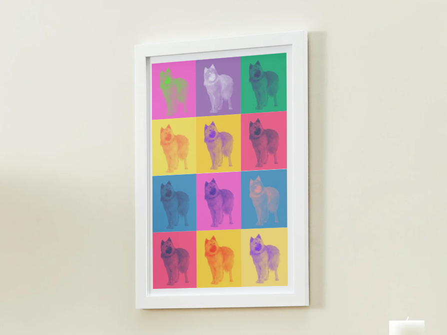 Modern Color Pet Portrait