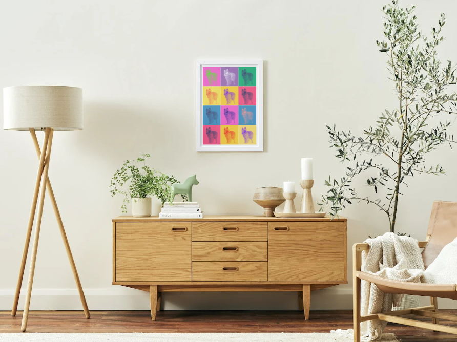 Modern Color Pet Portrait