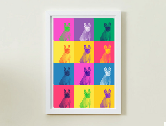 Modern Color Pet Portrait