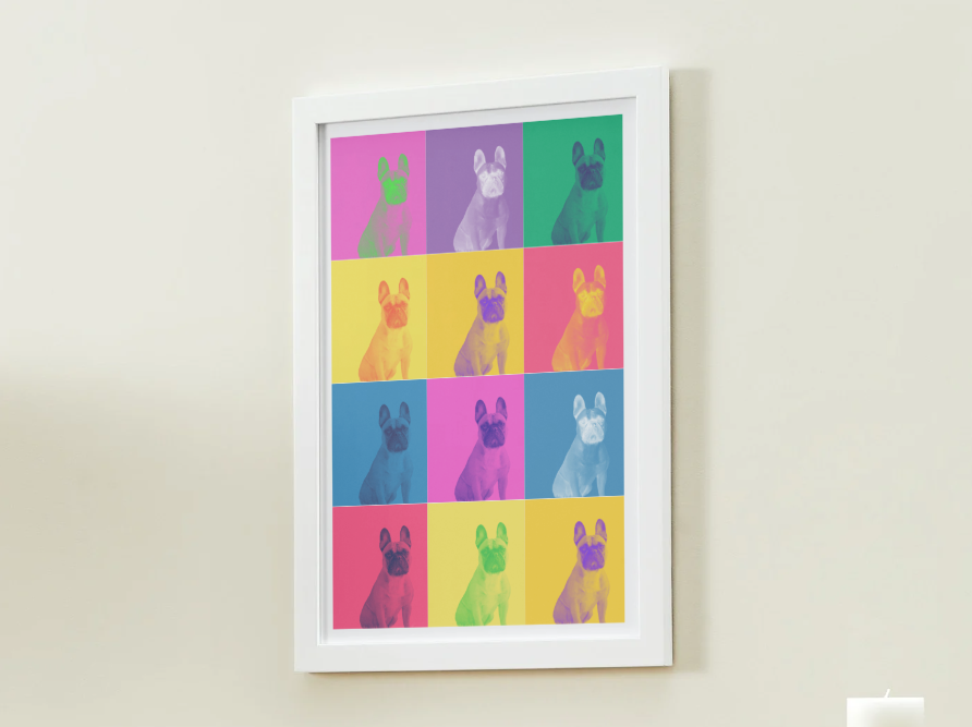 Modern Color Pet Portrait