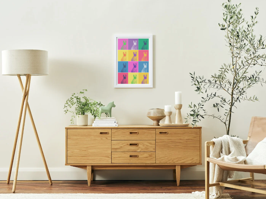 Modern Color Pet Portrait