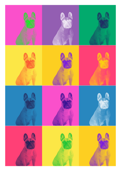 Modern Color Pet Portrait