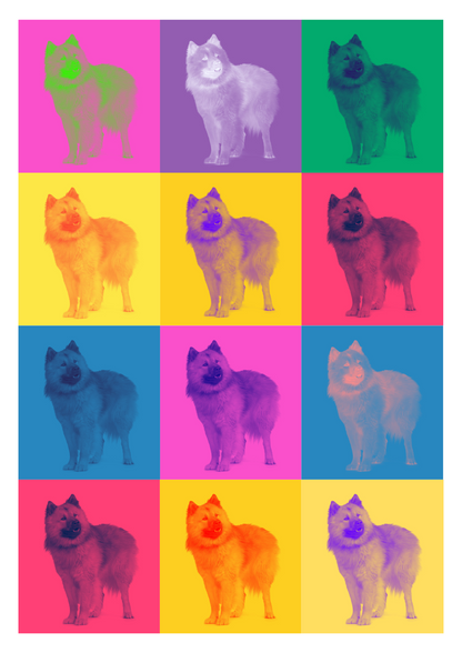 Modern Color Pet Portrait